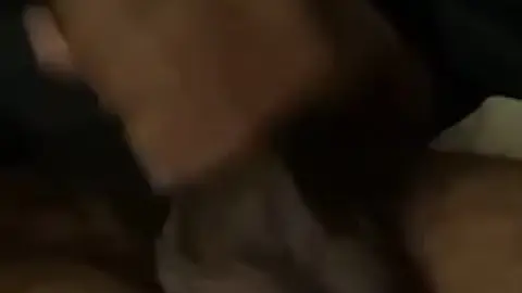 Twink Plays with Bouncy Balls
