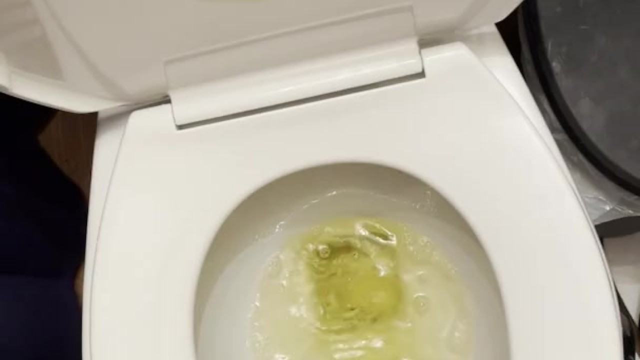 Guy Urinates in Toilet Quickly