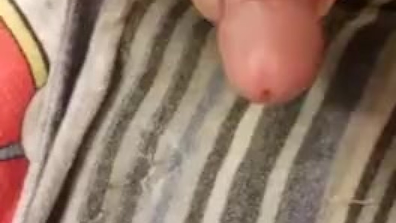 Solo Guy Jerks Off in Quick Session