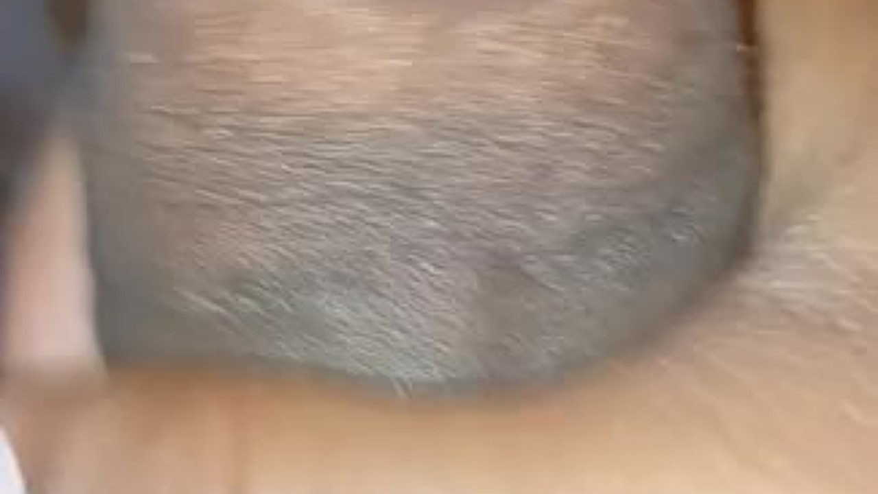 Black Stud Shows Off Huge Cock