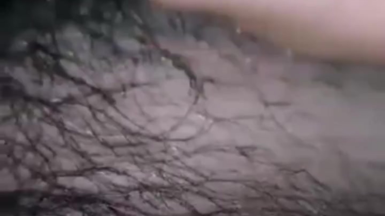 Asian Man Sucks Cock