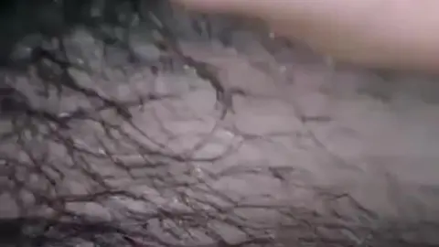 Asian Man Sucks Cock