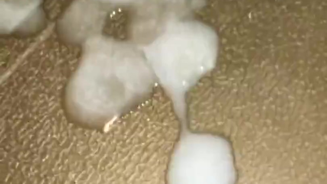 Solo Guy Masturbates in Bathroom with Huge Cum Shot