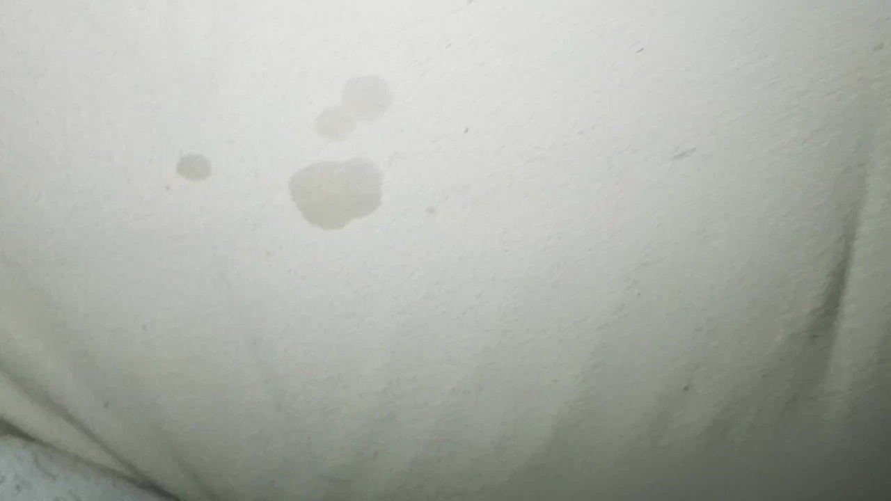 Young Twink Masturbates and Cums on Bed Sheet
