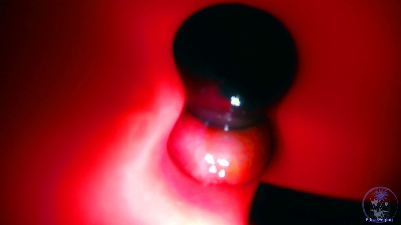 Gay Couple Shares Vibrating Cock Close Up