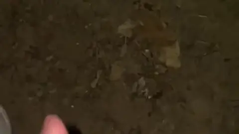Solo Guy Jerks Off in Forest with Big Cumshot