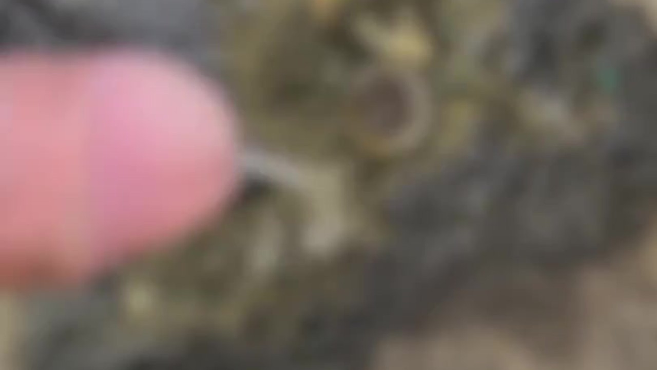 Japanese Twink Accidentally Pees During Sex