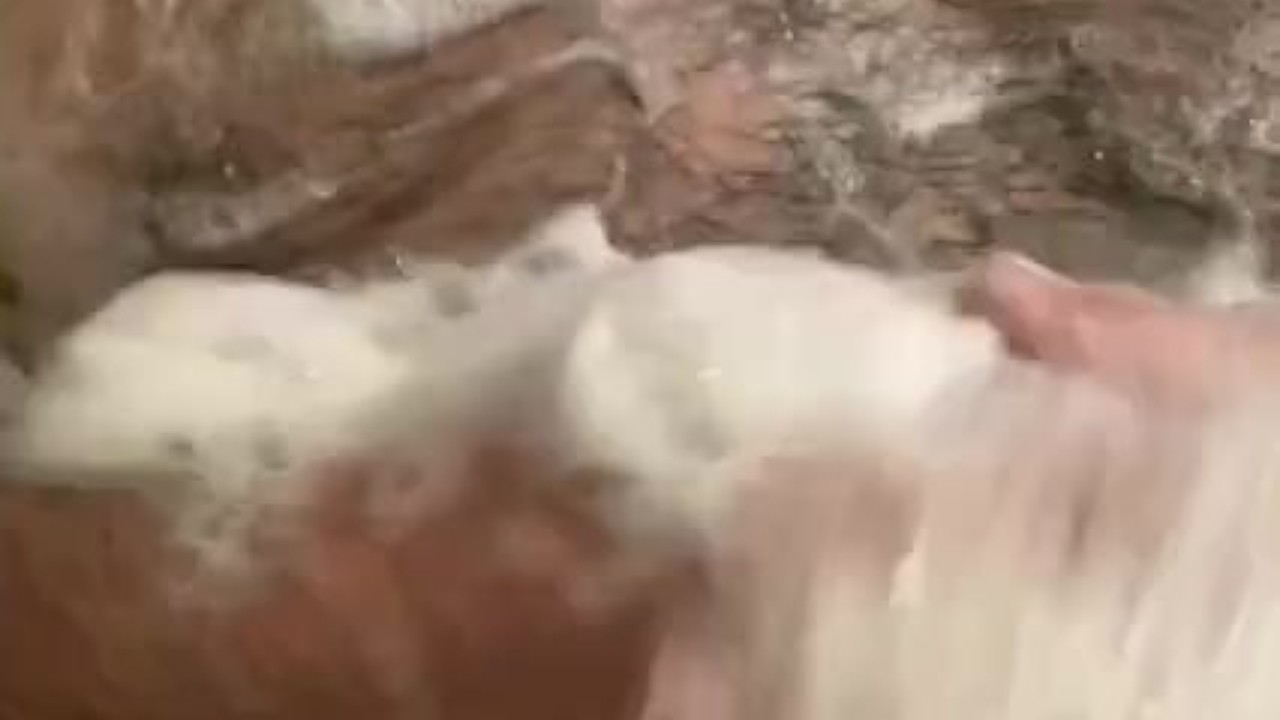 Guy Masturbates in Shower