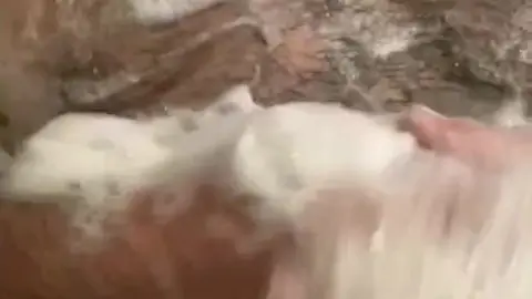 Guy Masturbates in Shower