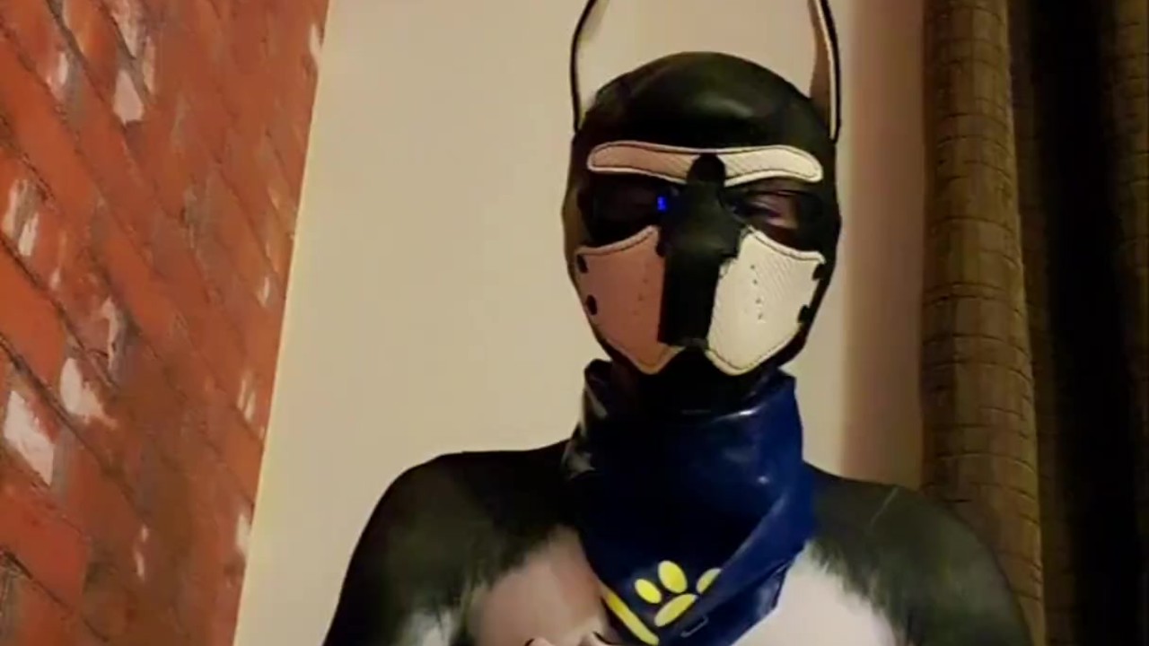 Gay Puppy Play with Cock Tease and Oral