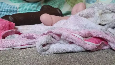 ButtPlug Stretches Asshole to Dripping Wet