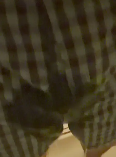 Guy Pisses in His Briefs