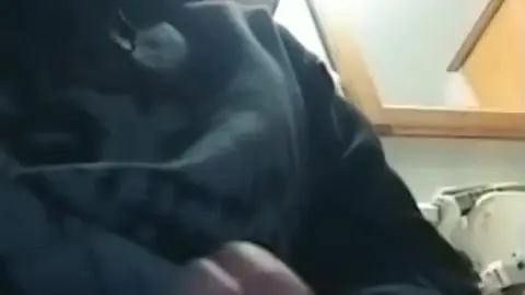 Solo Guy Masturbates to Climax