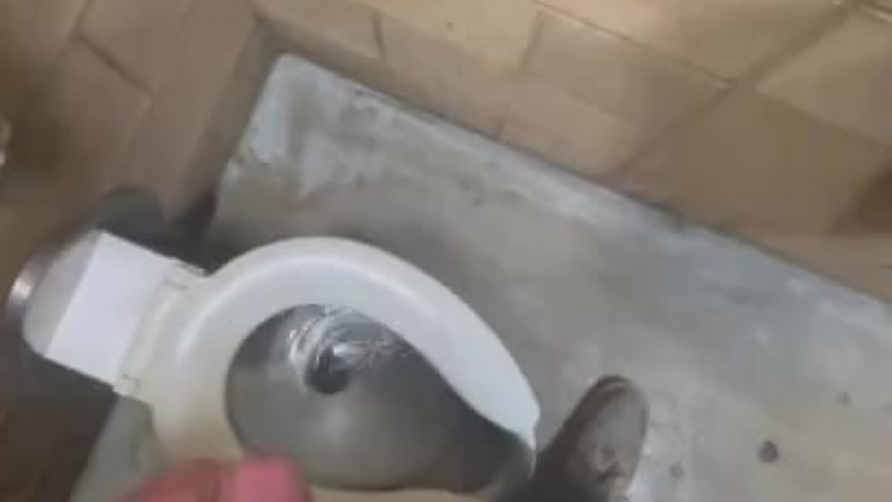 Quickie in Park Restroom During Lunch Break