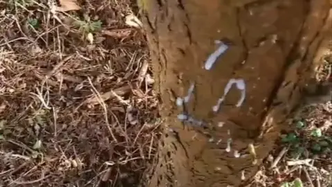 Guy Masturbates in Woods with Loud Moans
