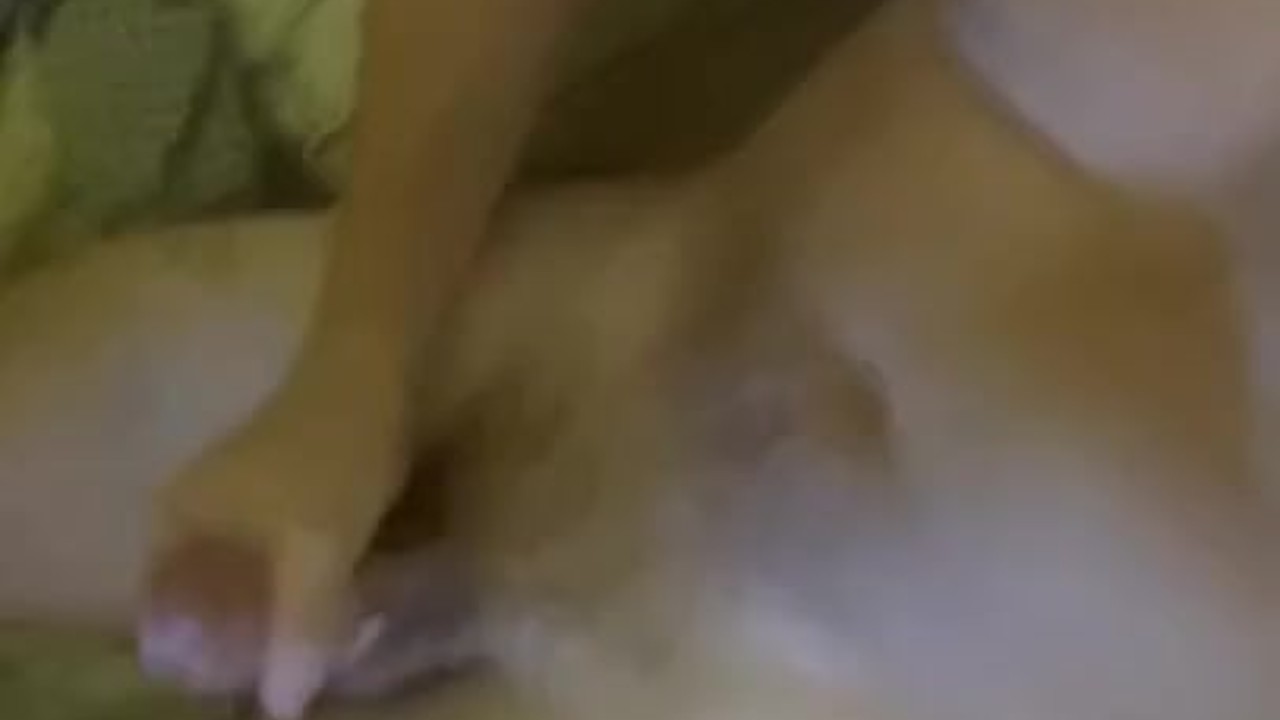 Guy Masturbates to Gay Porn