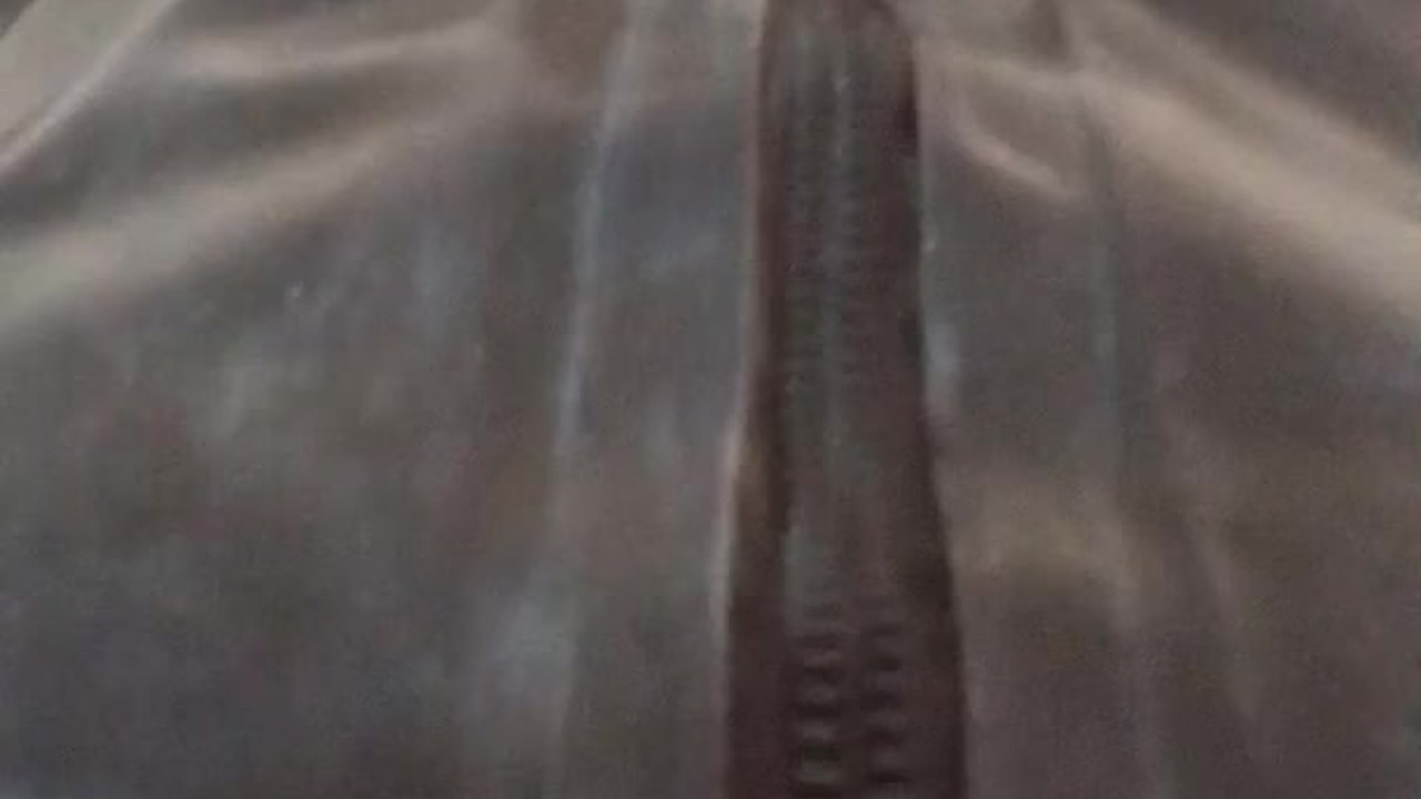 Gay Man Wears Latex Outfit for Erotic Play