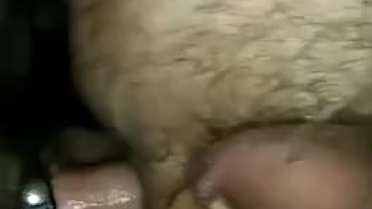 Bears Fuck in a Sling with Bareback Breeding
