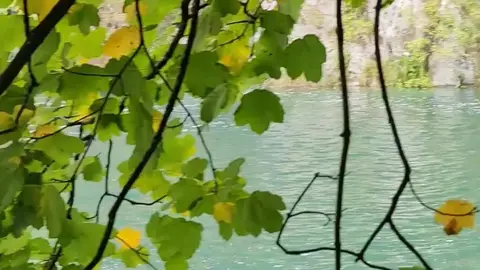 Guy Masturbates to Orgasm in Forest Near Waterfall