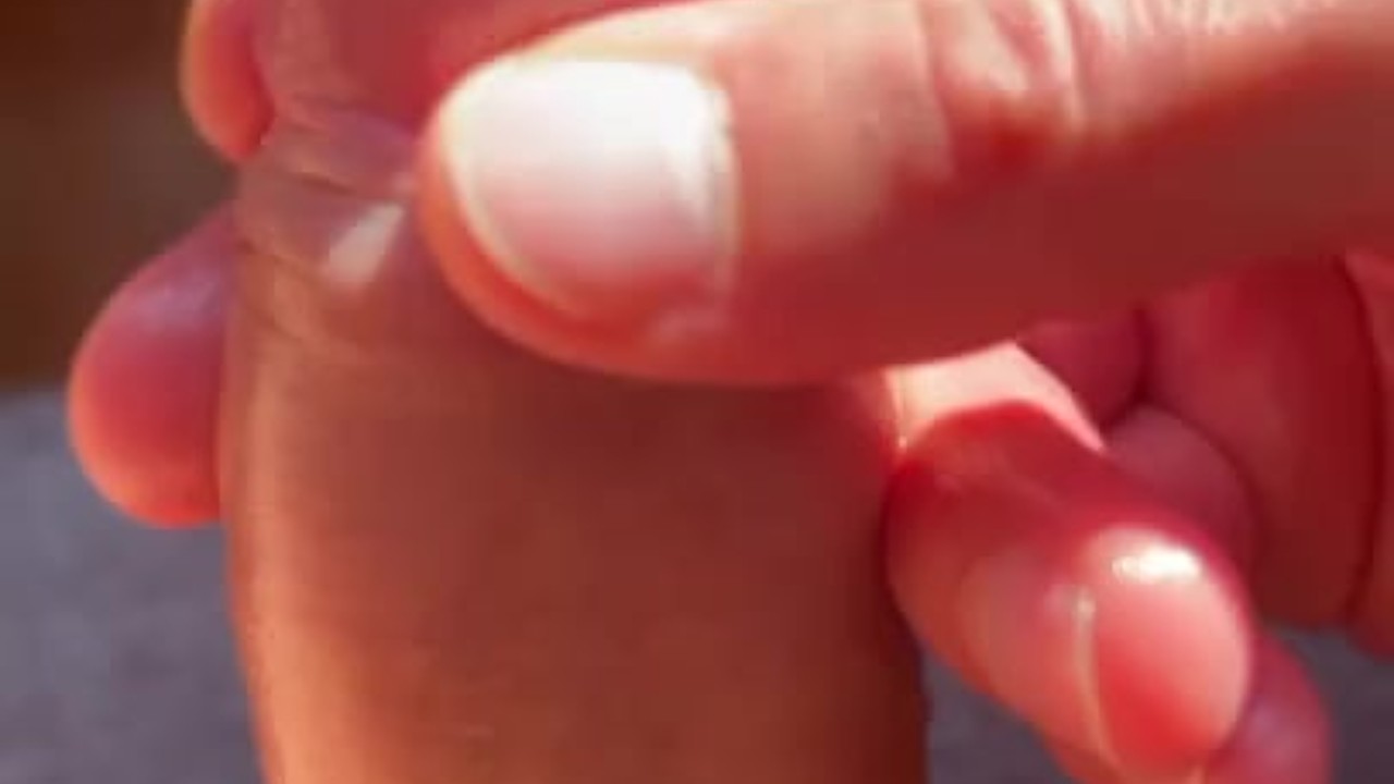 Uncut Colombian Cock Close Up