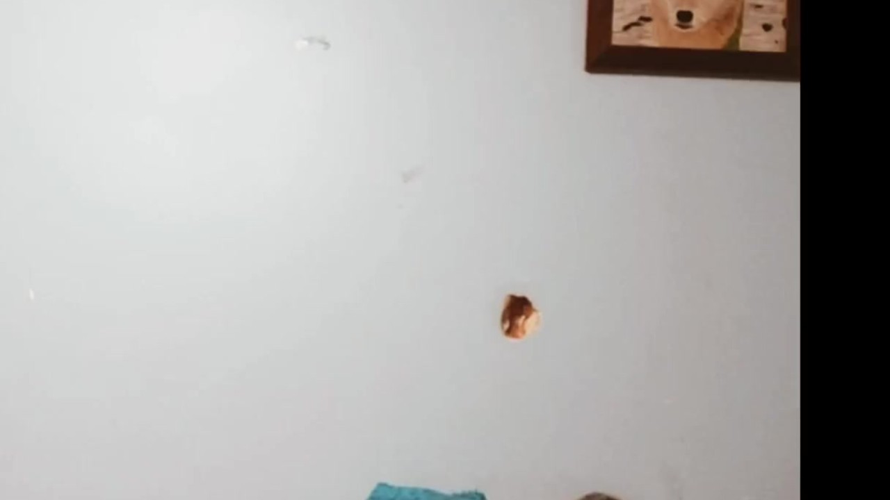 Gay Bottom Uses Sex Toy for SelfFuck