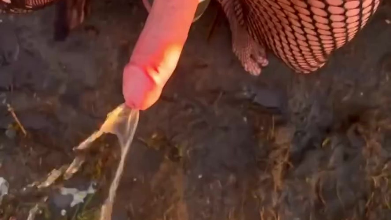 Guy in Body Stocking Exposes Hardon in Public Piss Scene