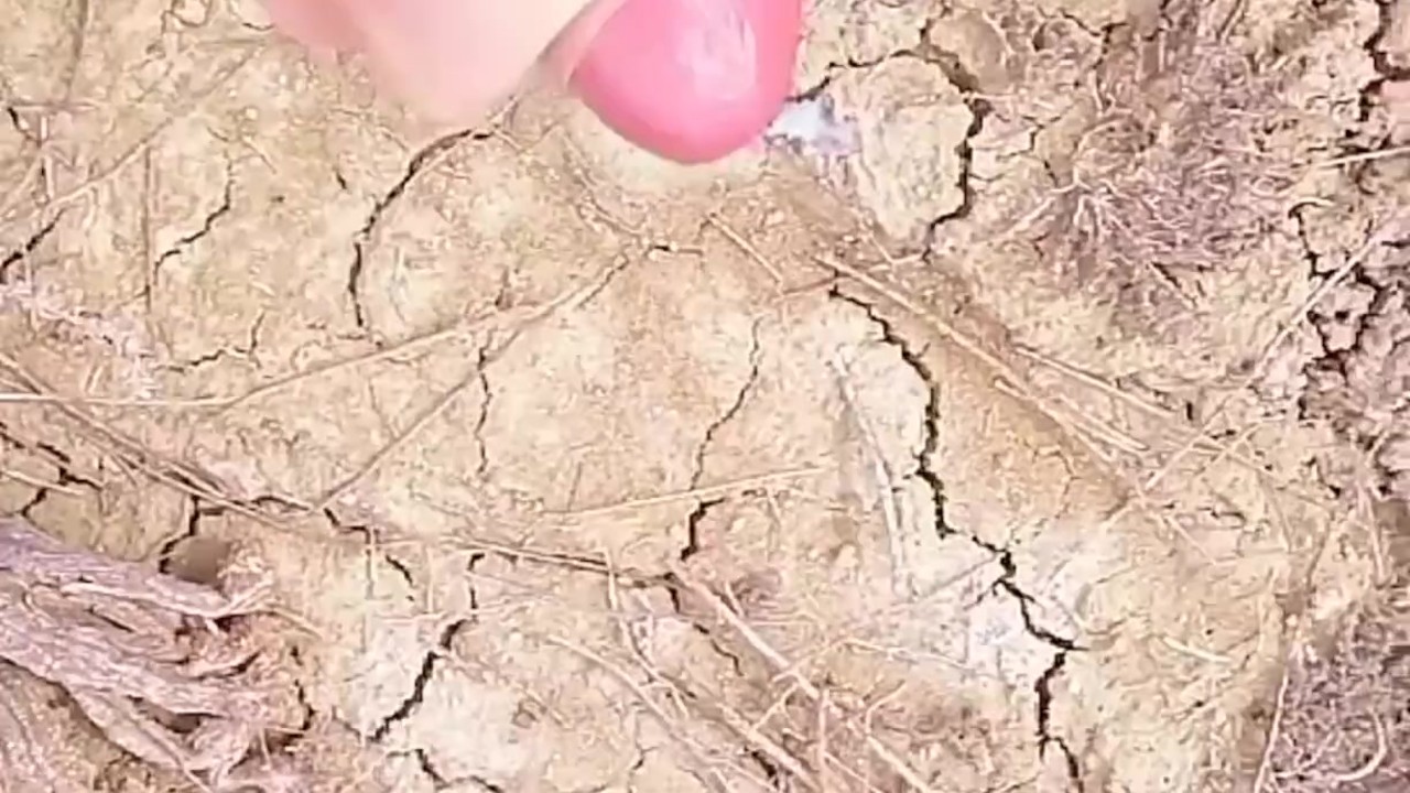 Guy Masturbates Outdoors in Nature