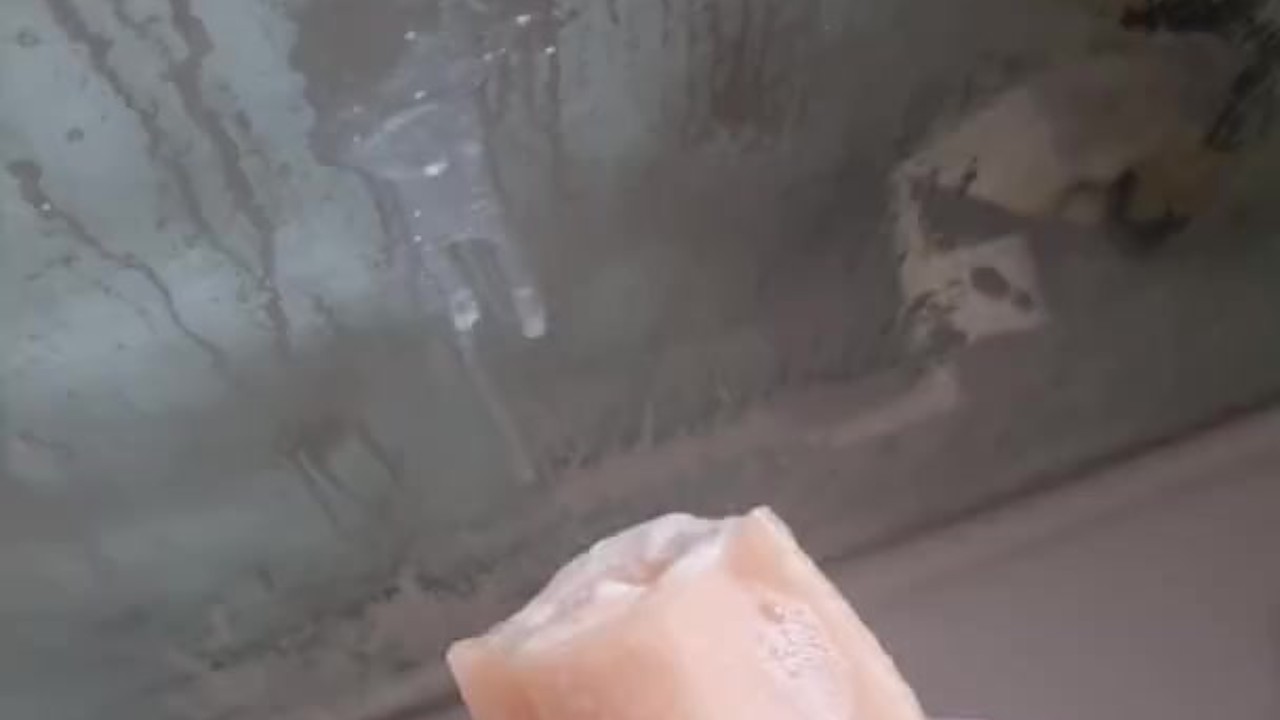 Horny Daddy Uses Butt Plug with Pocket Pussy