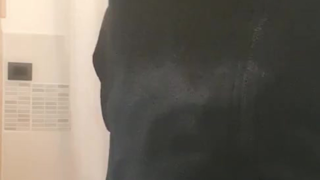 Big Dick Gets Huge Cumshot
