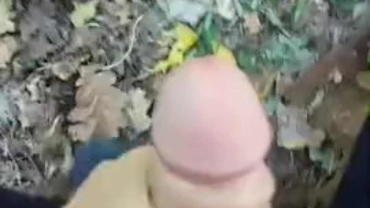 Guy Masturbates Alone in Forest