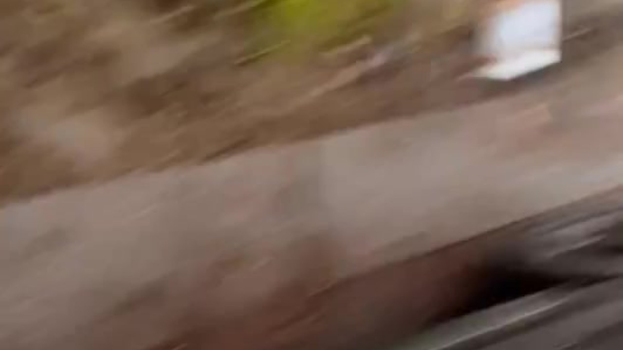 Barefoot Guy Pisses in Street for Crowd