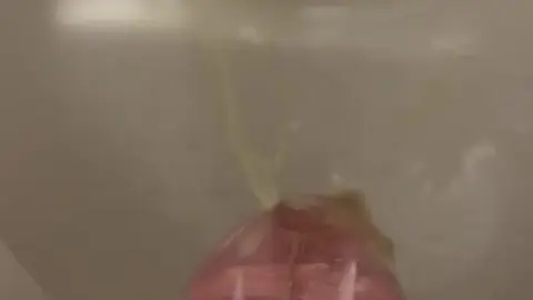 Gay Man Urinates While Locked in Chastity Cage