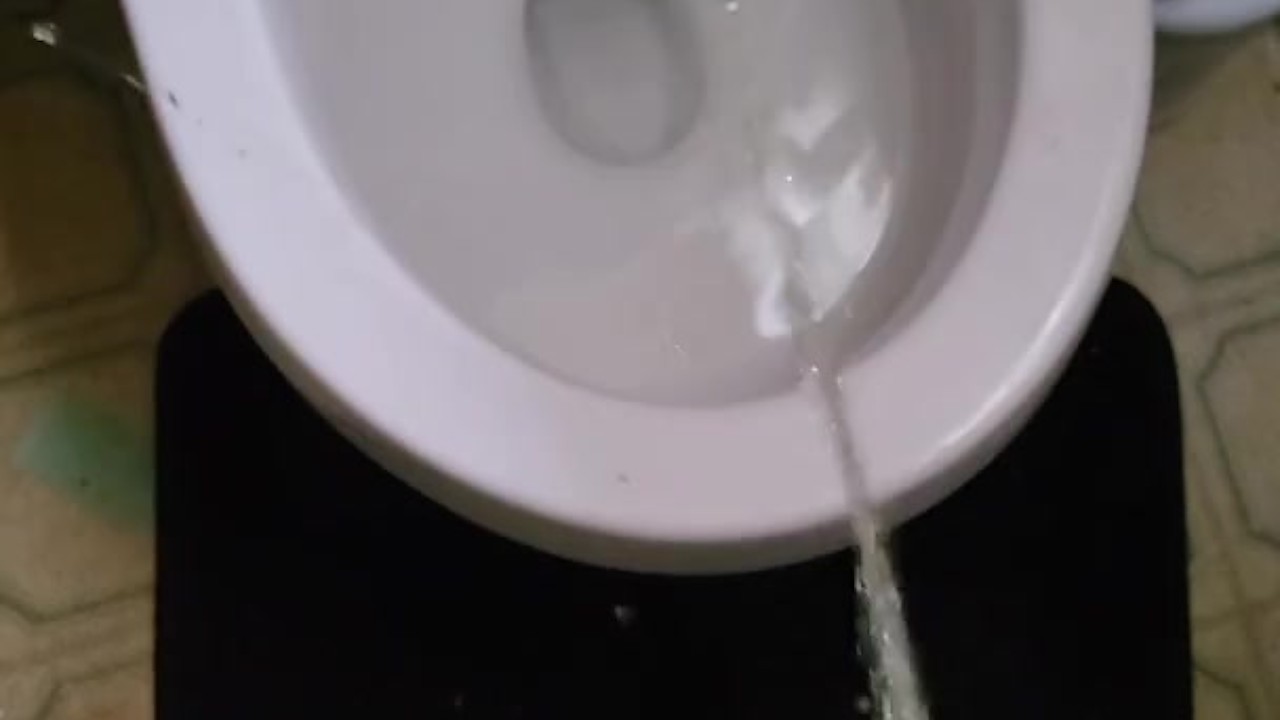 Gay Man Urinates with Large Penis Exposed