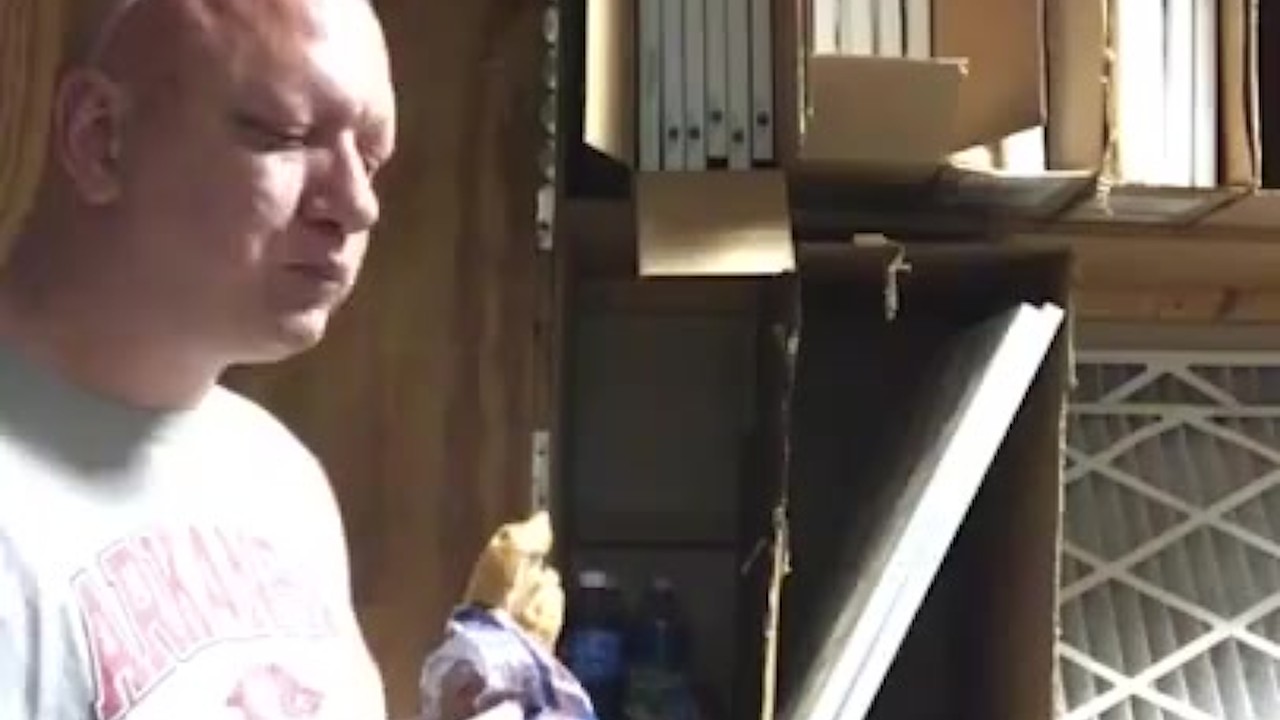 Muscular Pig Gets Fed Lunch by Partner