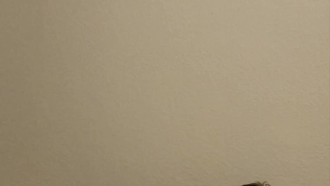 Big Ass Bottom Gets Fucked Hard