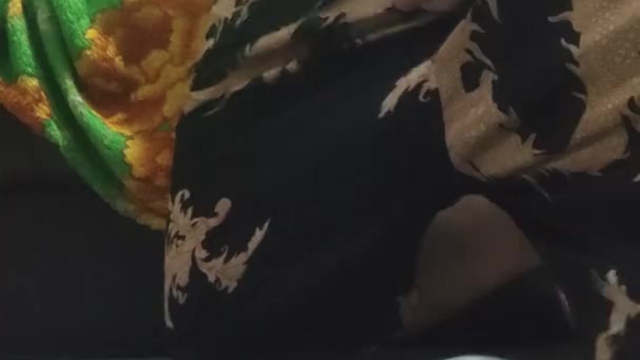 Late Night Solo Jerk Off with Hard Dick