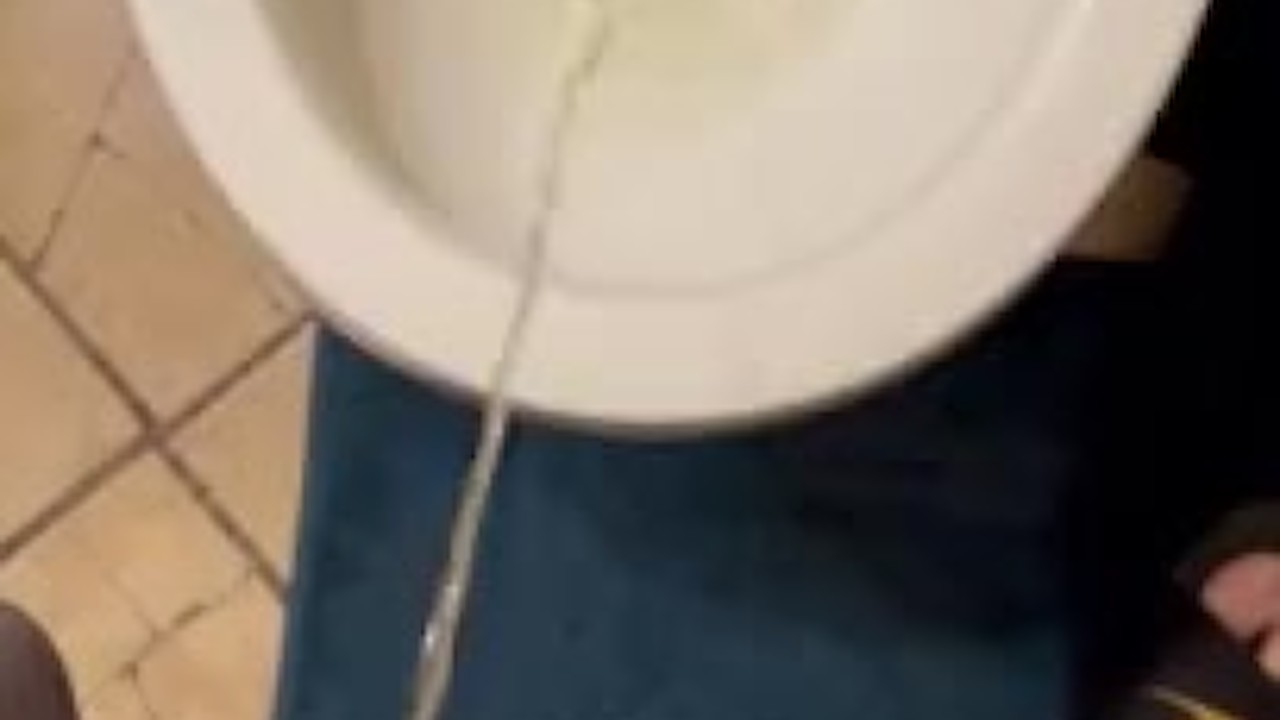 Guy Urinates in Morning Scene