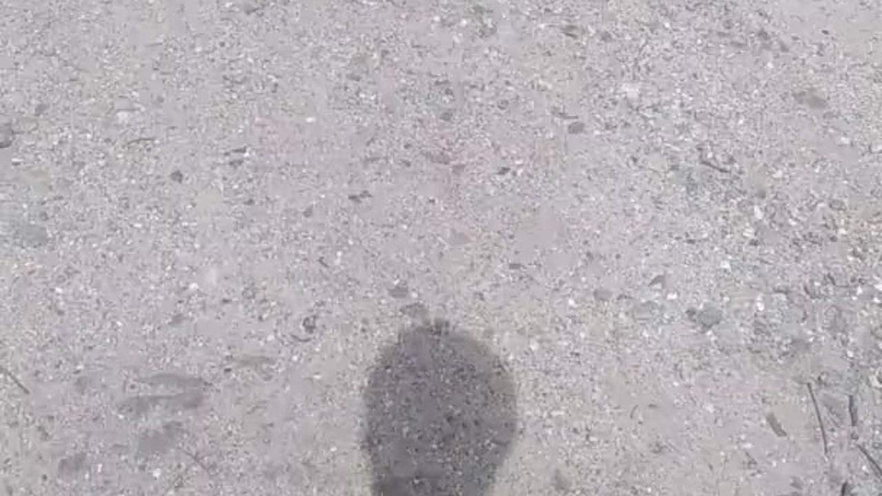 Gay Outdoor Blowjob