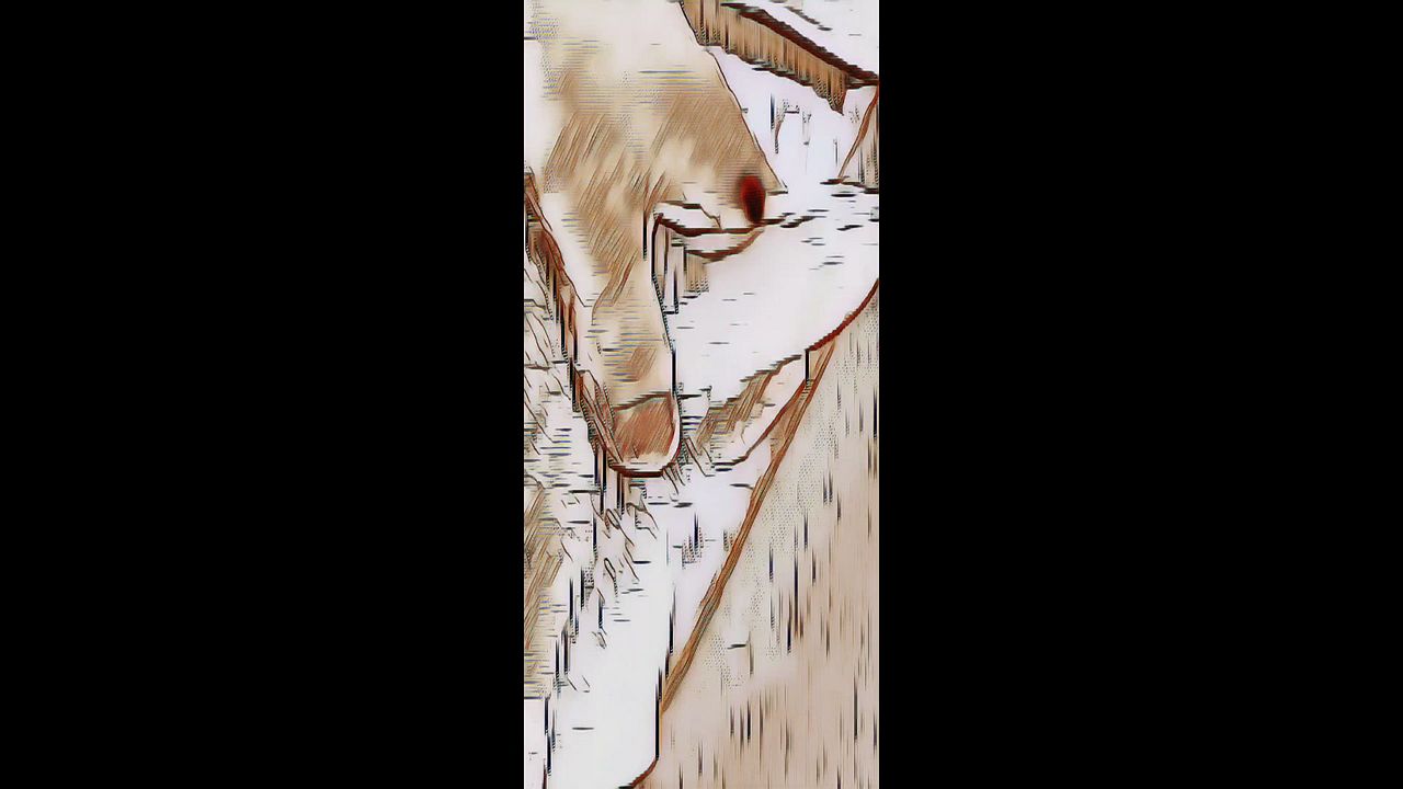 Gay Animated Intro Clip