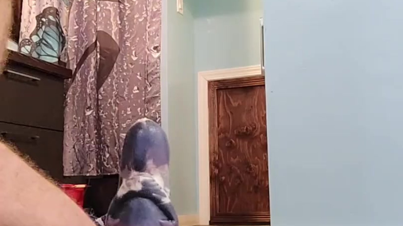 Guy Uses Huge Toy for Anal Play