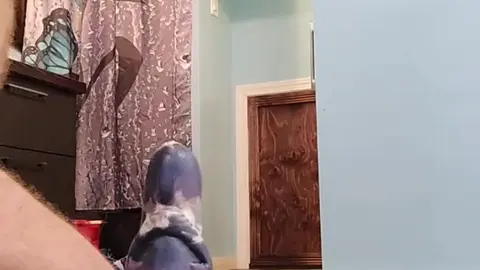 Guy Uses Huge Toy for Anal Play