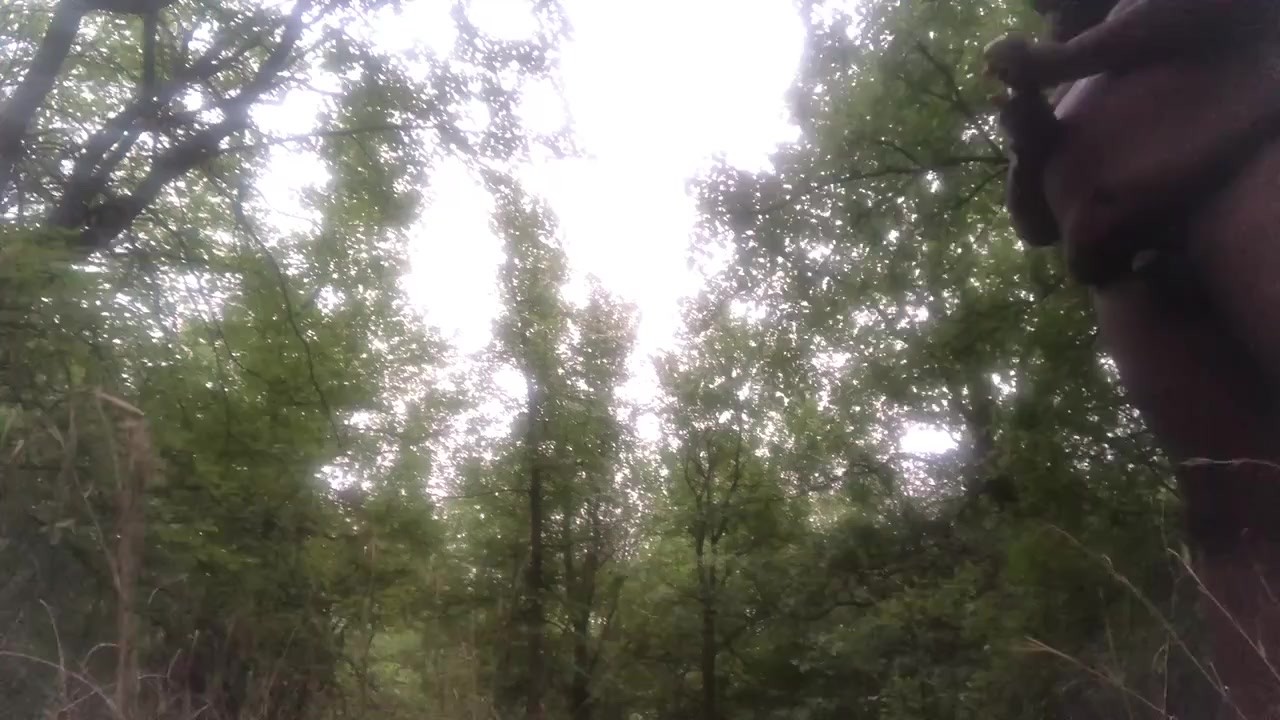 Naked Guy Strokes in Woods