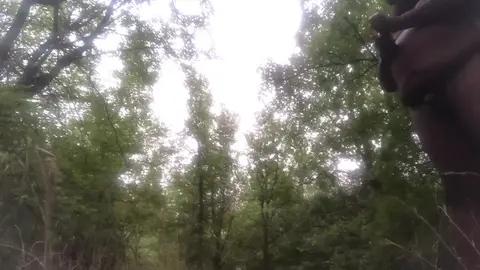 Naked Guy Strokes in Woods