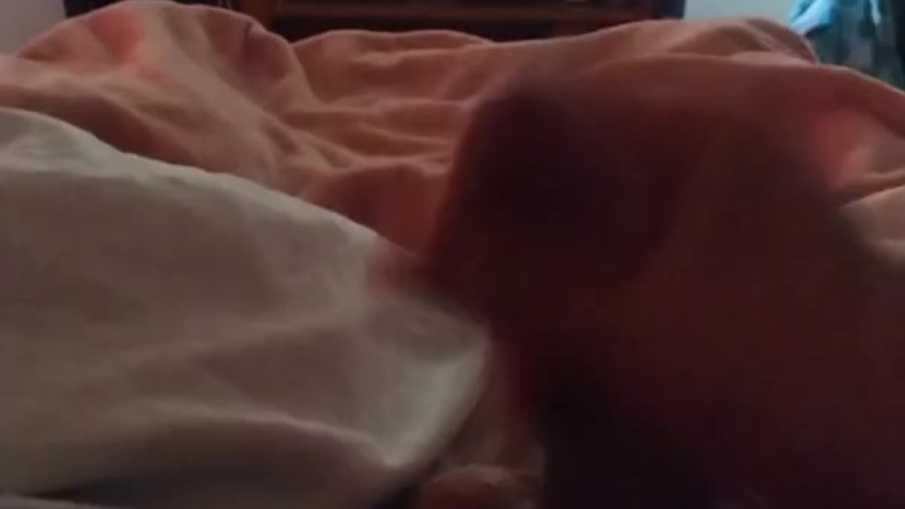 Hunky Guy Cums on Stomach with Thick Load