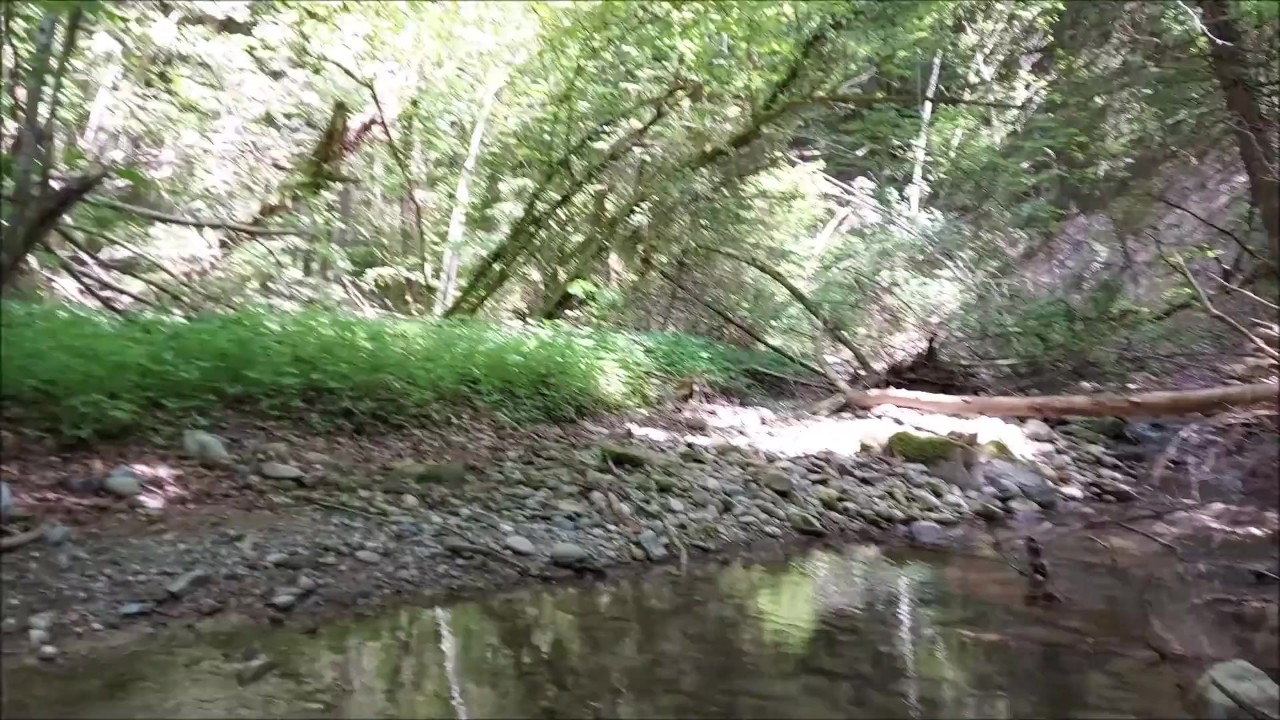 Nude Guy Exposes Himself at Campfire, Creekside, and Bridge