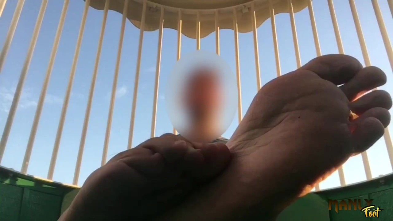 Guy Shows Off Feet at Fair on Ferris Wheel
