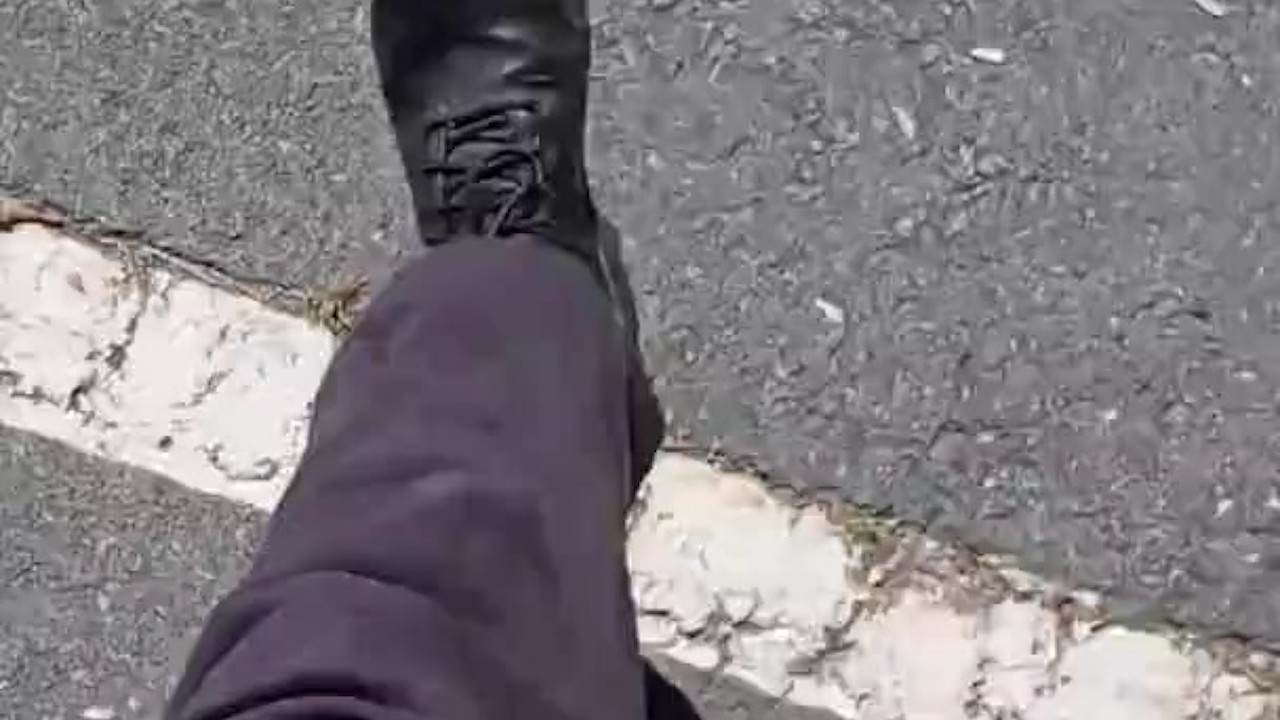 Bulging Buck Walks to Store