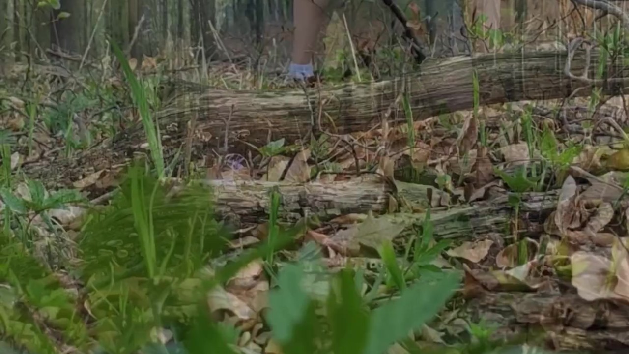 Gay Guy Exposes Ass in Public Forest
