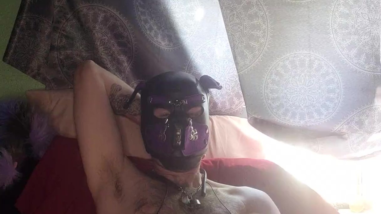 Solo Pup Plays with His Dick