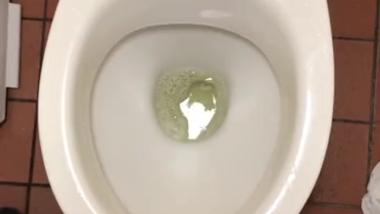 Gay Man Pisses in Toilet